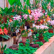 A TxT Control participando na Bilheteria e Controle de acesso no Orquidário de Santos